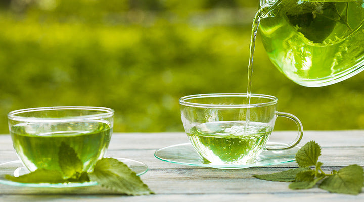 Best Organic Green Tea for Your Daily Routine