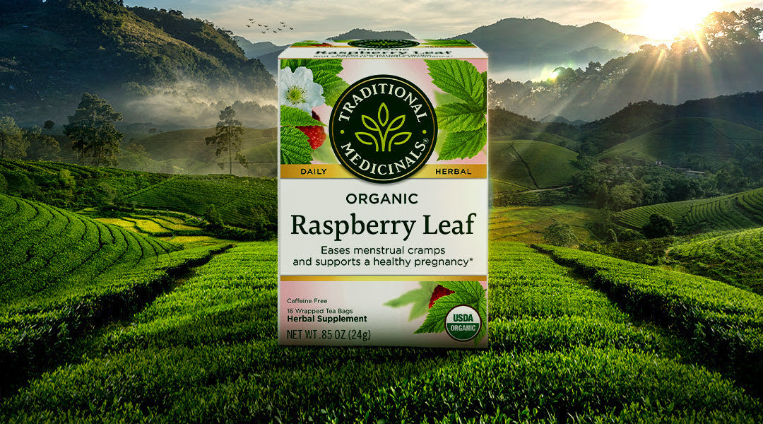 The Truth About Organic Raspberry Leaf Tea: Benefits, Safety and Uses