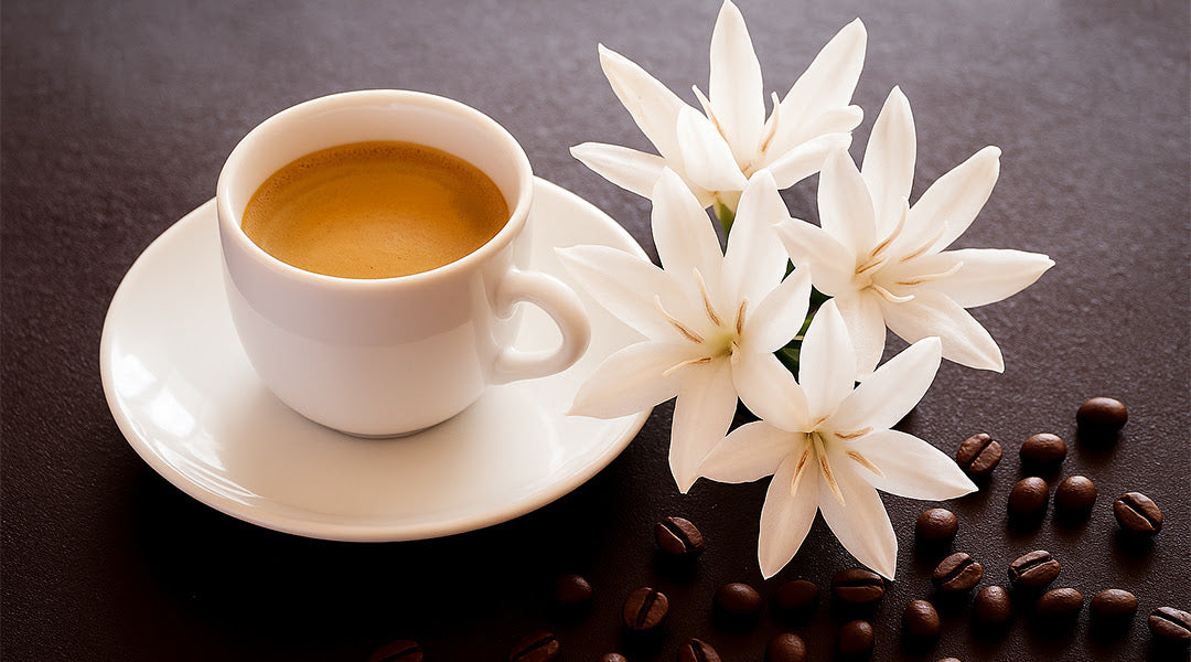 Arabica Laurina - The Naturally Low-Caffeine Coffee