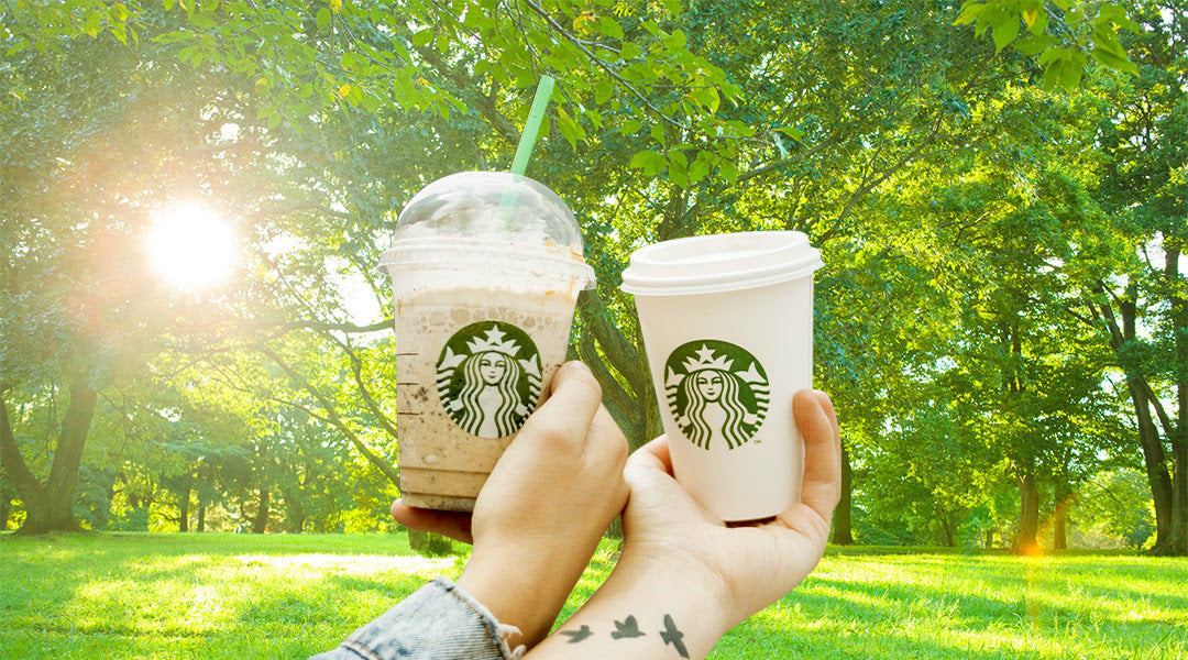 Which Starbucks Whole Bean Coffee Has The Most Caffeine? Check Out Our Top 10 Picks