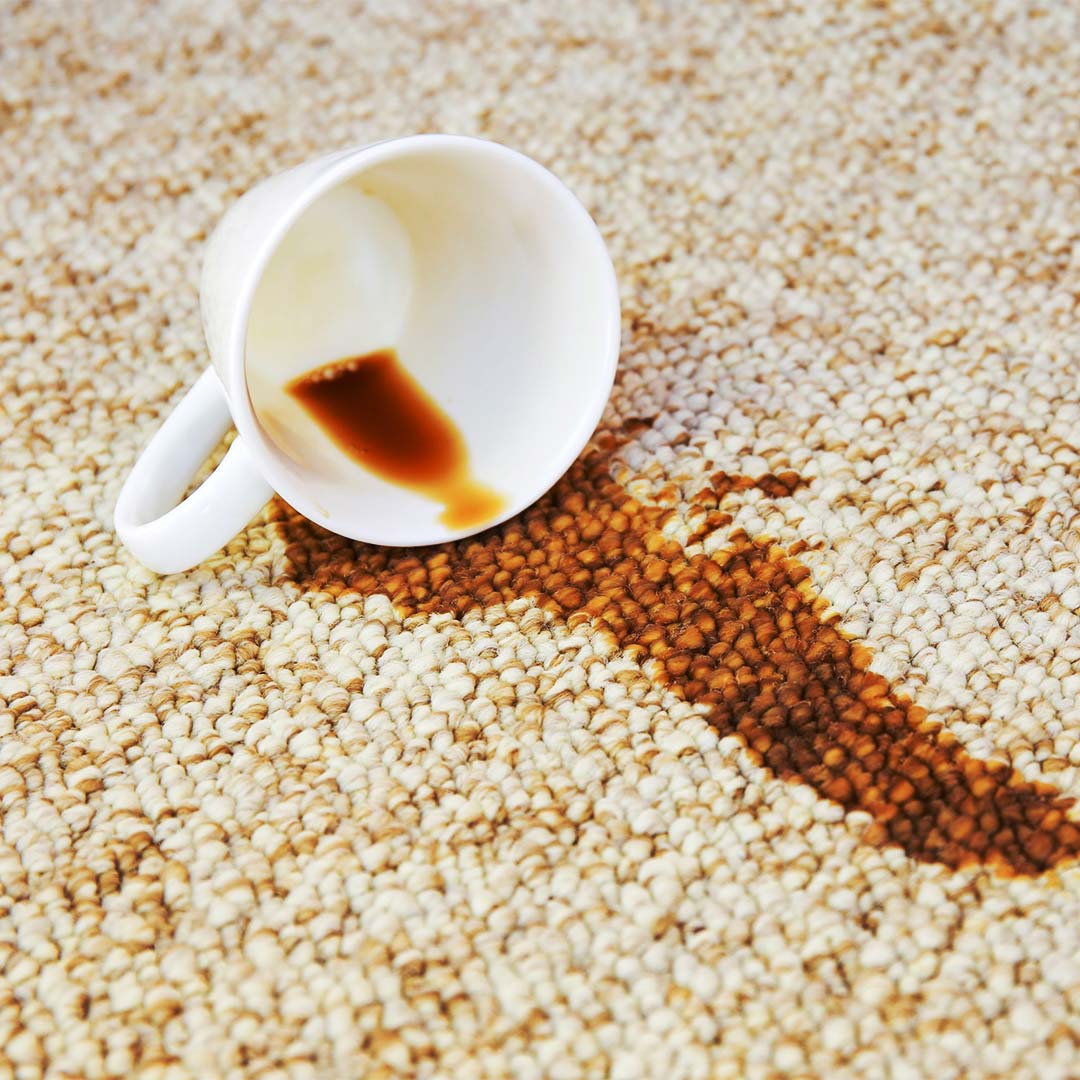 How to Get Coffee Stains Out of Carpet- The Best Way!