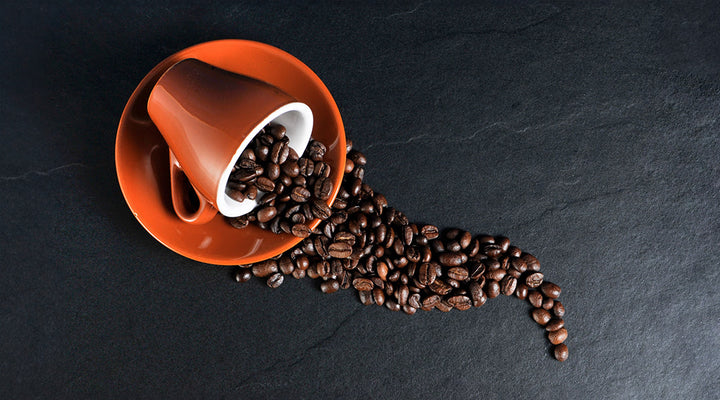 101 Coffee Guide: Where Do Coffee Beans Come From?