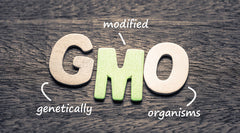 GMOs And Coffee, Is There A Cause For Concern?