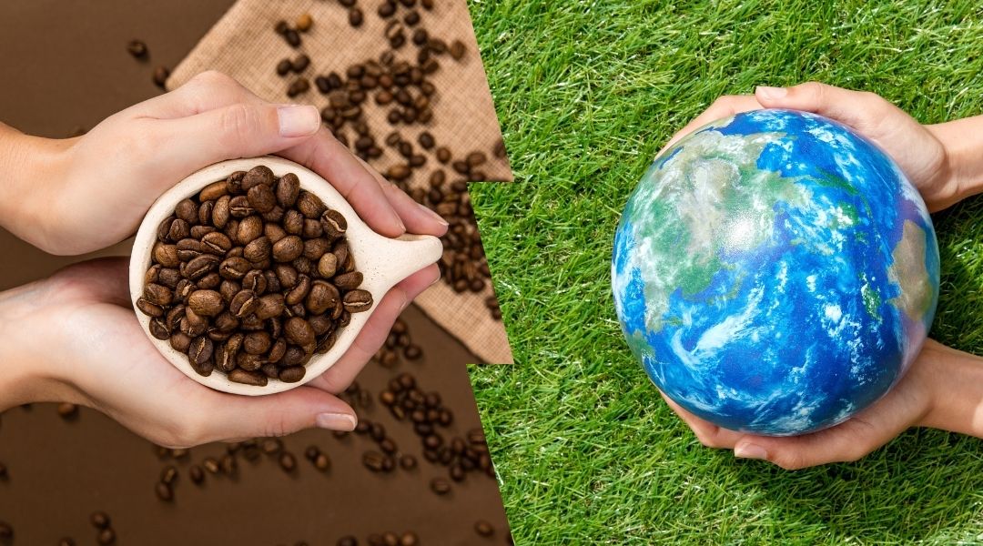 Individual Commitment Leads To Global Impact - How Healthy Coffee And A Healthy Planet Go Hand And Hand