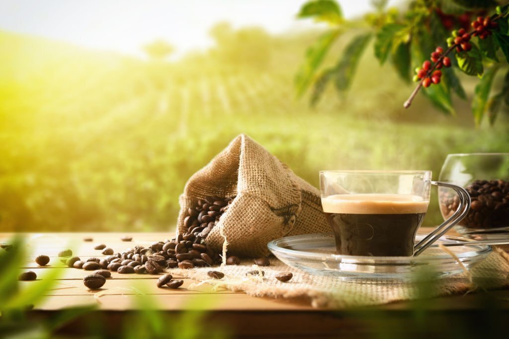 What Is Organic Coffee?