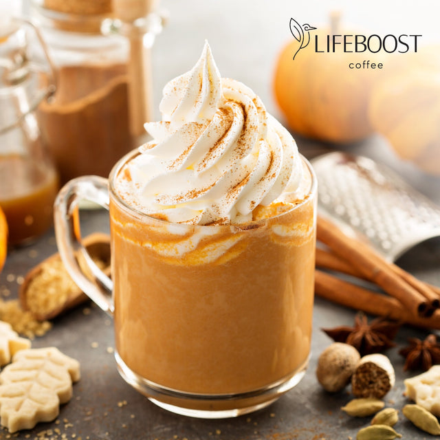 Pumpkin Spice Coffee Flavor - Lifeboost Coffee