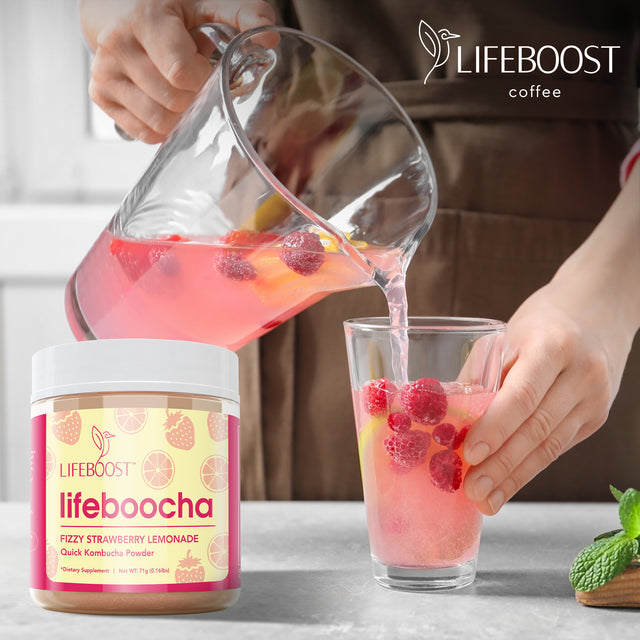 Strawberry Lemonade Lifeboocha - Lifeboost Coffee