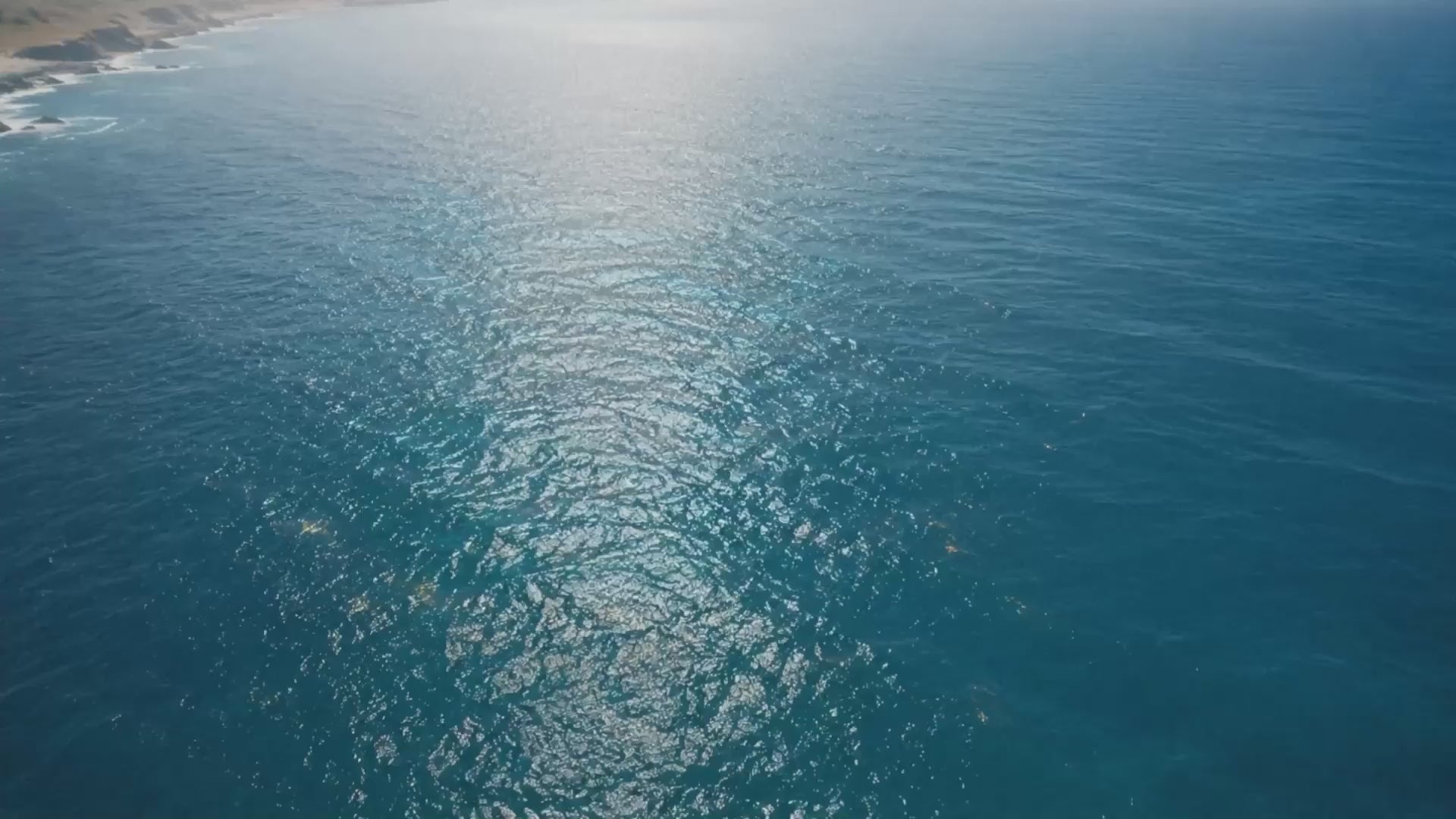 Background video poster