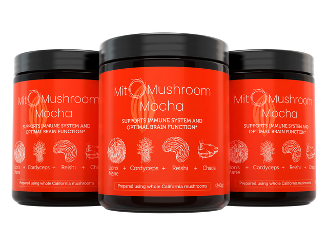 MitoMushroom Mocha - Lifeboost Coffee