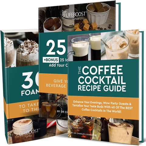 25 Coffee Ice Cube Recipes, 30 Cold And Hot Foam Toppers and 40 Coffee Cocktail Recipes - Digital Recipe Books - Lifeboost Coffee